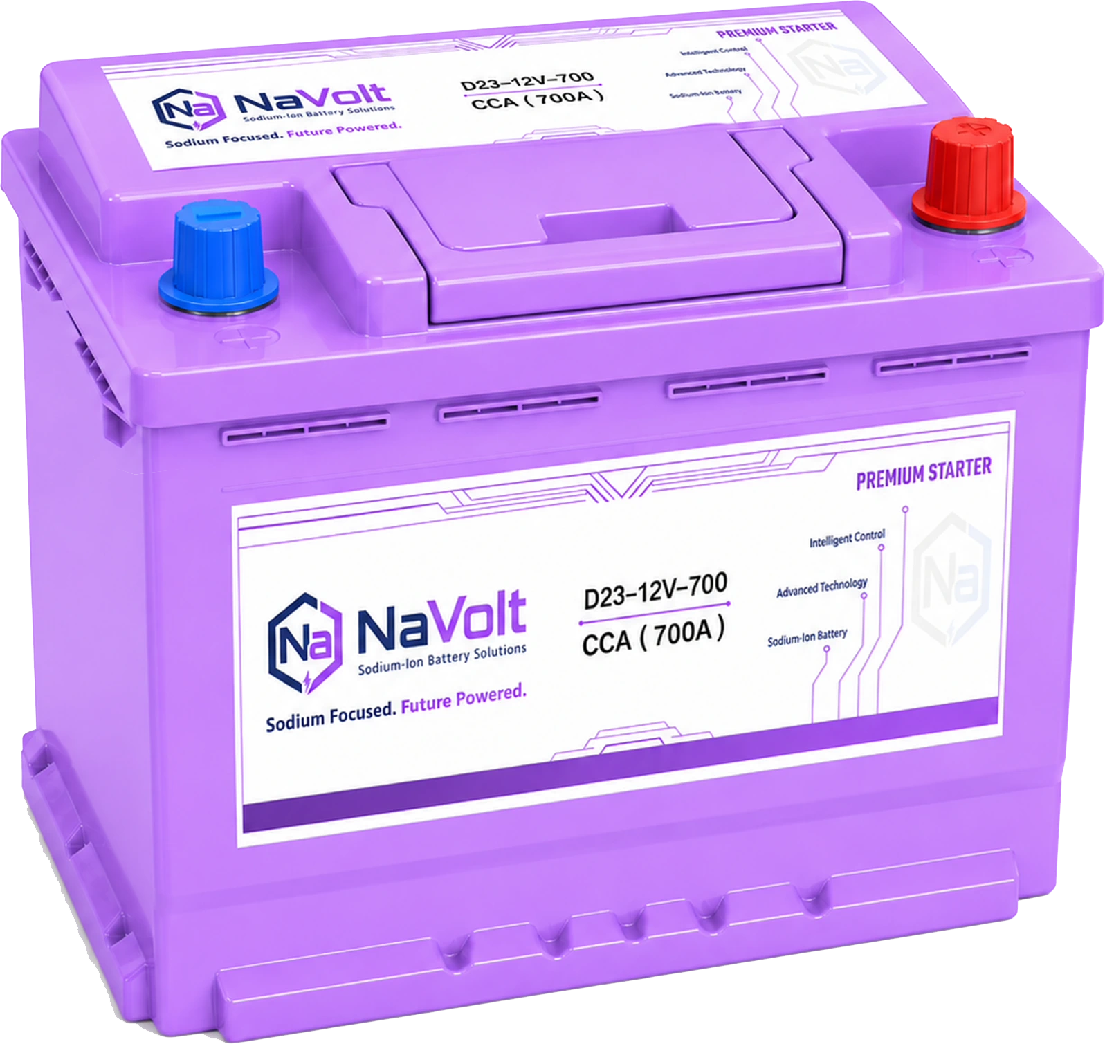 D23-12V-700 Sodium-ion Starter Battery